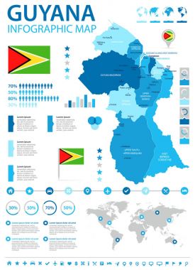 Guyana - Infographic harita ve bayrak - detaylı vektör çizim
