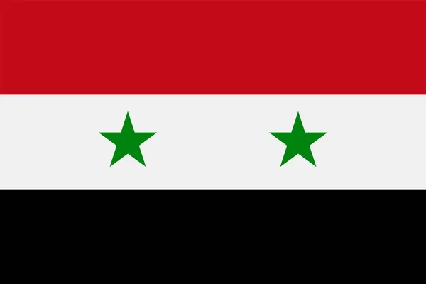 Сирийская векторная плоская икона — стоковый вектор