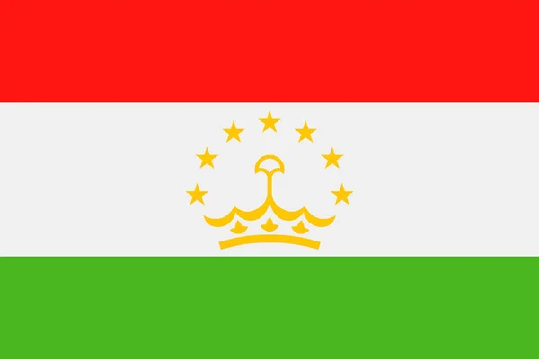 타지 키스탄 국기 벡터 평면 아이콘 — 스톡 벡터