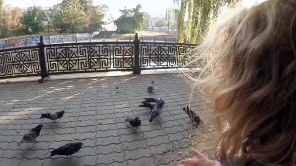 Zeitlupe. ein Kind im Park, das Tauben füttert — Stockvideo