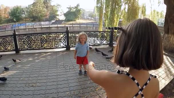 Zeitlupe. ein Kind im Park, das Tauben füttert — Stockvideo