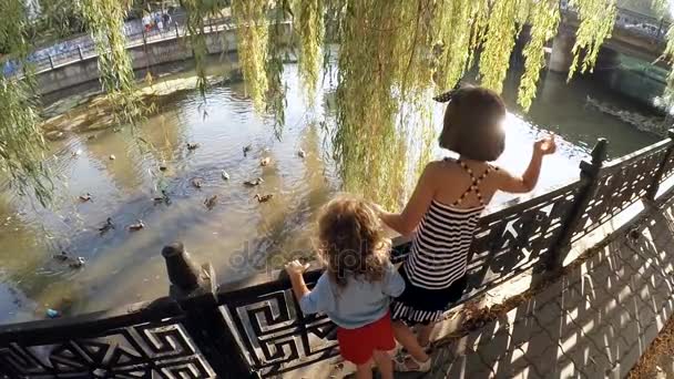 Kinder füttern Enten im Stadtpark . — Stockvideo