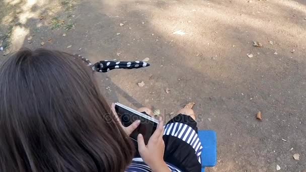 Медленное движение. Девушка играет в парке на вашем смартфоне — стоковое видео