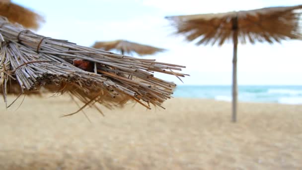 Песчаный пляж с соломенными зонтиками в ветреный день — стоковое видео
