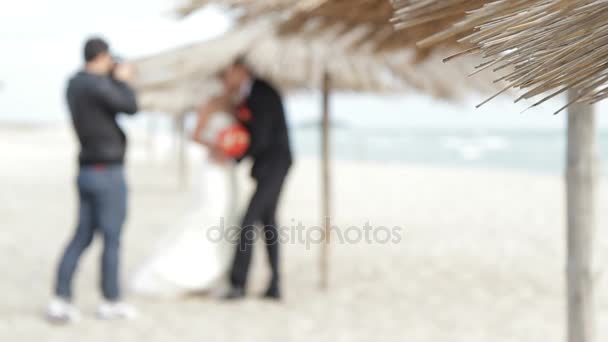 Bröllop fotosession på stranden. — Stockvideo