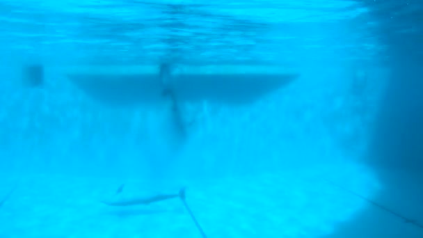 Υποβρύχια γυρίσματα. Τα δελφίνια κολυμπούν σιγά-σιγά στην πισίνα. — Αρχείο Βίντεο