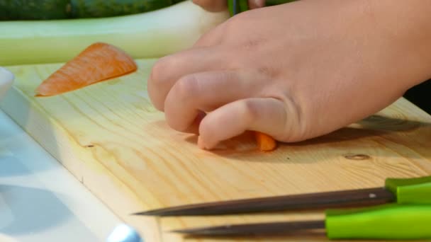 Dames handen gesneden wortelen — Stockvideo