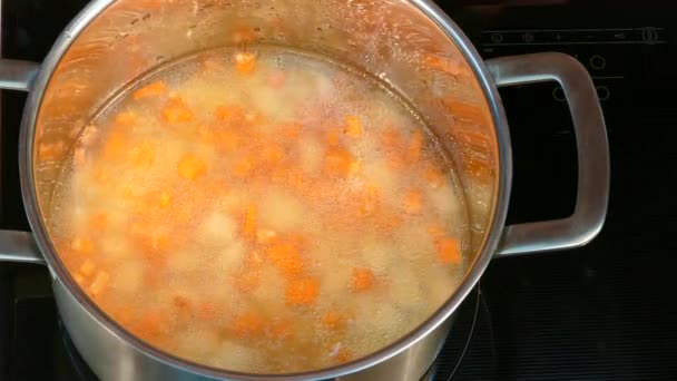 As mãos de mulheres põem no fogão elétrico uma panela de sopa, incluem uma chapa — Vídeo de Stock