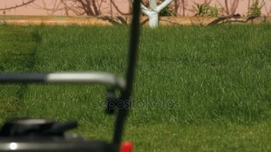 Bahçıvan çim Mows.
