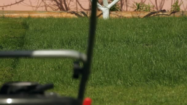 Gardener Mows Grass. — Stock Video