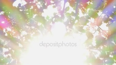 Arka plan yaprakları ve yapraklara