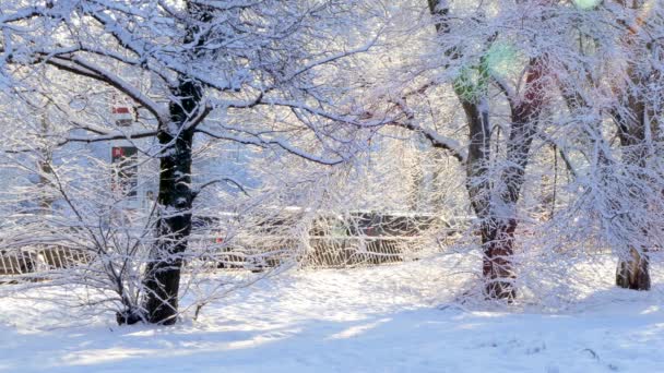 Engarrafamento após queda de neve . — Vídeo de Stock