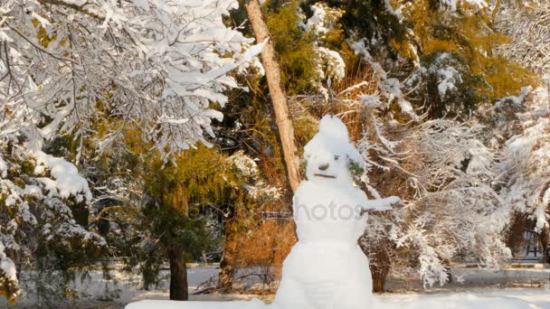 Smeltende sneeuwpop in de zon — Stockvideo