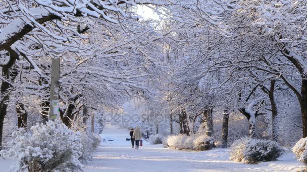 People walk along the snow-covered avenue — Stock Video