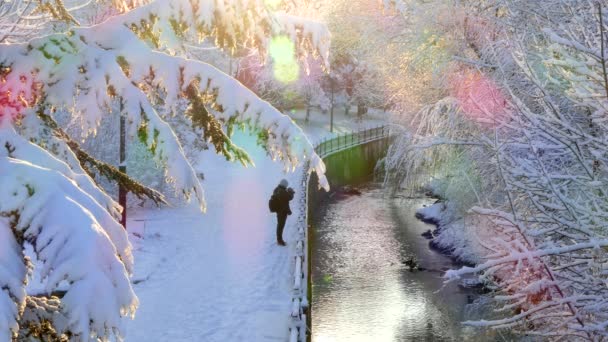 Fotógrafo toma una foto de un pequeño río en un parque nevado — Vídeo de stock