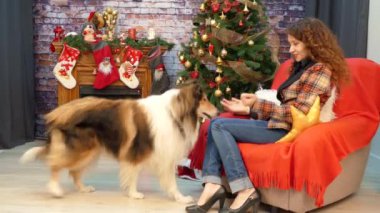 Noel ağacının yanında oynayan bir köpek kızla