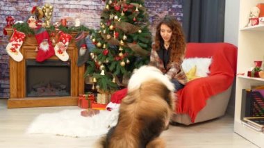 Noel Kutlamaları bir köpek ile bir kız