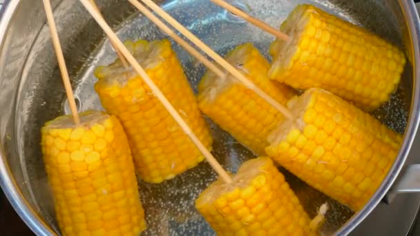 Salt corn in a saucepan — Stock Video