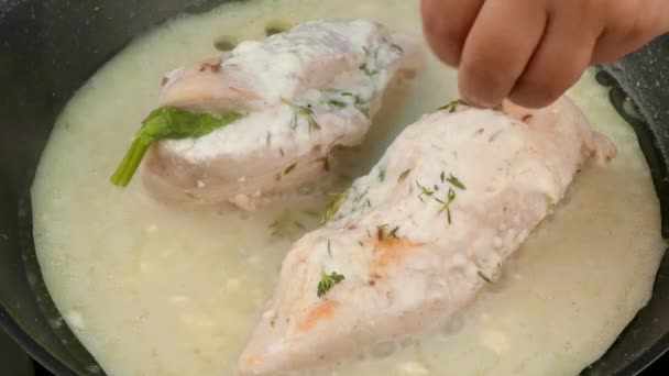 In a frying pan chicken fillet in sauce is stewed — Stock Video