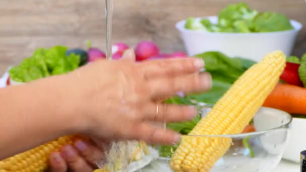 Hands wash corn under the water — Stock Video