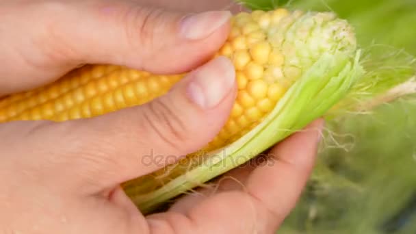 Pelar el maíz de las hojas — Vídeo de stock