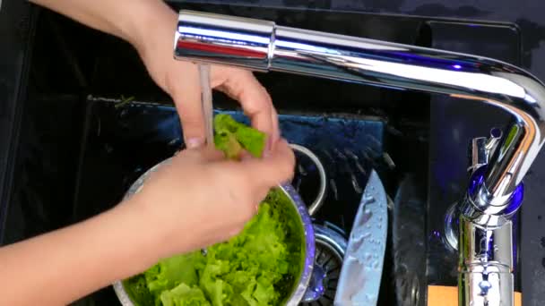 Salatblätter unter dem Wasserhahn waschen — Stockvideo