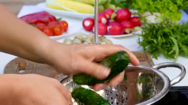 Hände waschen die Gurken in einem Sieb. — Stockvideo