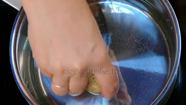 Poner huevos de codorniz en una olla de agua — Vídeos de Stock