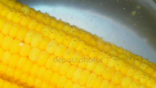 Granos de maíz en agua hirviendo — Vídeo de stock