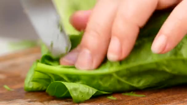 Il cuoco taglia foglie di spinaci — Video Stock