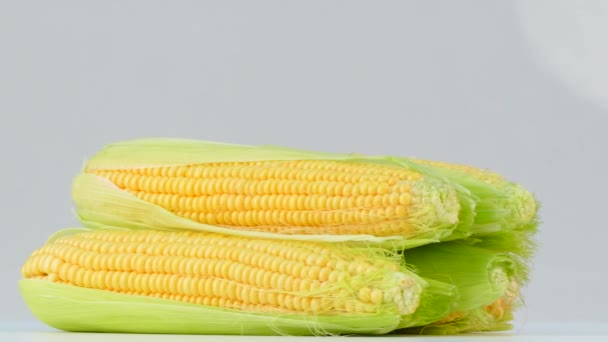 Mazorcas de maíz girando sobre un fondo blanco — Vídeo de stock