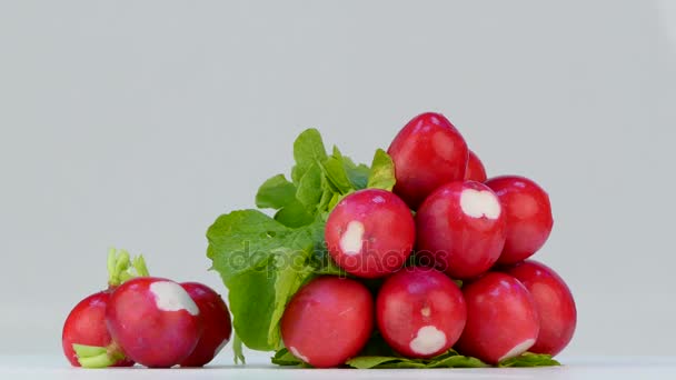 Purified radish on white background — Stock Video