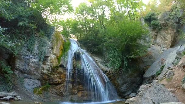 Пенящийся небольшой водопад в лесу — стоковое видео