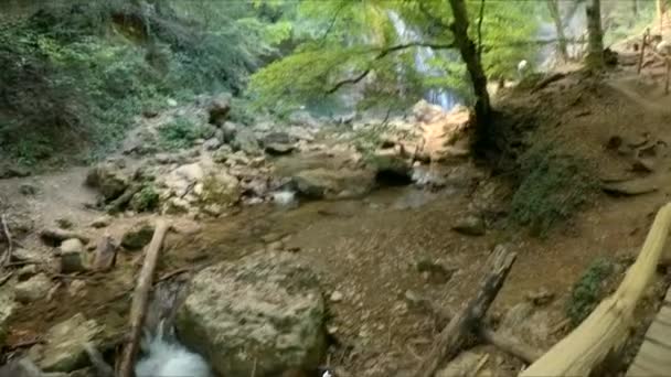 Un uomo cammina lungo un ponte di legno su un fiume . — Video Stock