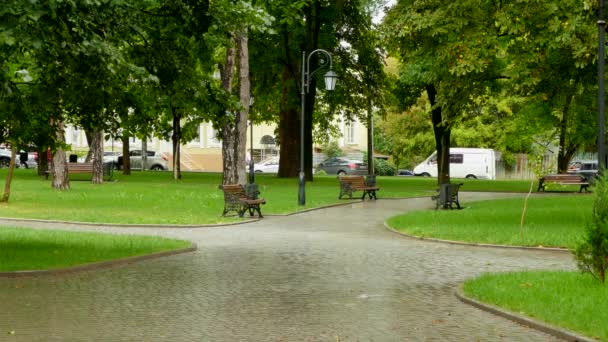 Detrás de un parque vacío los coches están en un atasco de tráfico . — Vídeo de stock