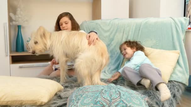 La ragazza sta leggendo un libro a suo fratello e un cane . — Video Stock