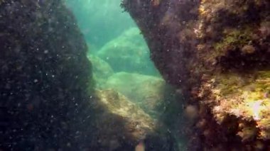 Bir adam bir sualtı mağara içinde yüzüyor