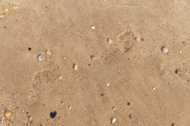 Sandy beach ve arka plan için taş