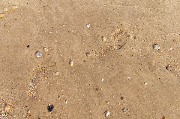 Piaszczysta plaża i kamienia dla tła — Zdjęcie stockowe