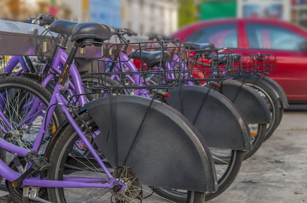 Several bikes for rent in the city — Stock Photo, Image