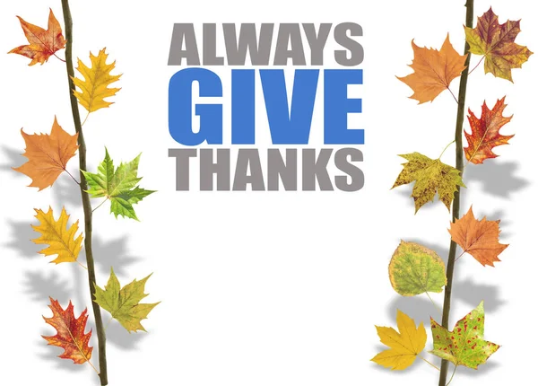 Several leaves hanging on tree branch and always give thanks — Stock Photo, Image