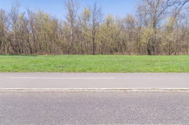 Yol asfalt ve ağaçları büyük kamu Park ile yeşil çim