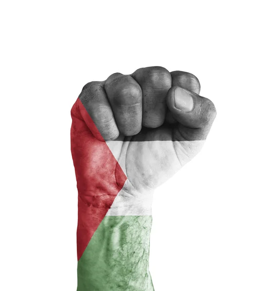 Palestina flagga målad på mänskliga näven som seger symbol — Stockfoto
