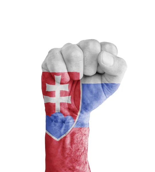Szlovákia zászlaja festett emberi ököl, mint szimbólum győzelem — Stock Fotó