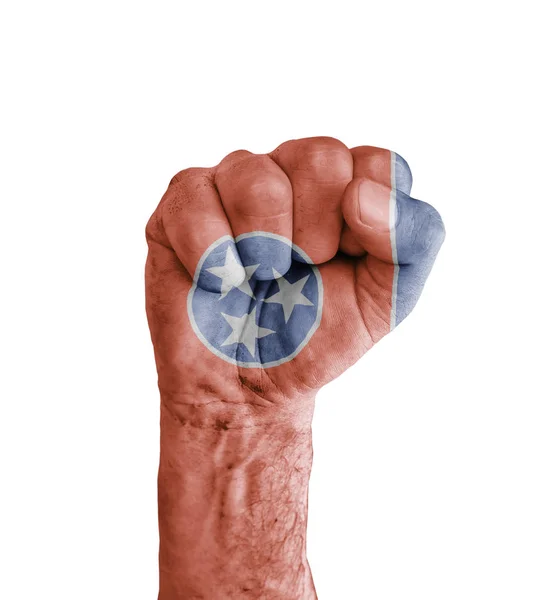 Прапор штату Теннессі нас намальовані на людський кулак як перемога sy — стокове фото