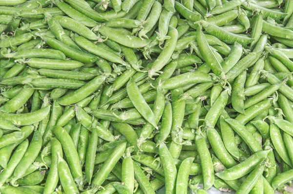 Verse gezonde green bean op de agrarische markt van de landbouwer op mornin — Stockfoto