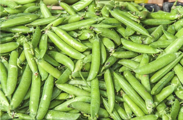 Verse helathy groene vegetabe bean op de markt klaar voor verkoop — Stockfoto