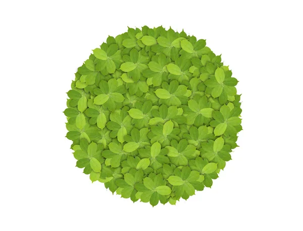 Green circle made of green leaves, symbol of eco friendly — Stock Photo, Image