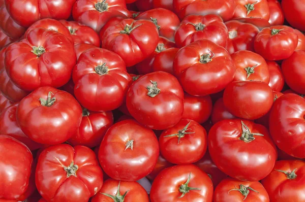 Органические свежие большие красные спелые помидоры на рынке в солнечный день c — стоковое фото