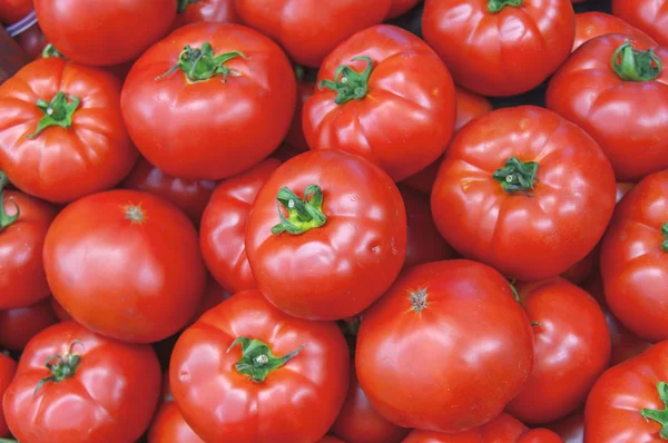 Органические здоровые свежие большие красные спелые помидоры на рынке на солнце — стоковое фото